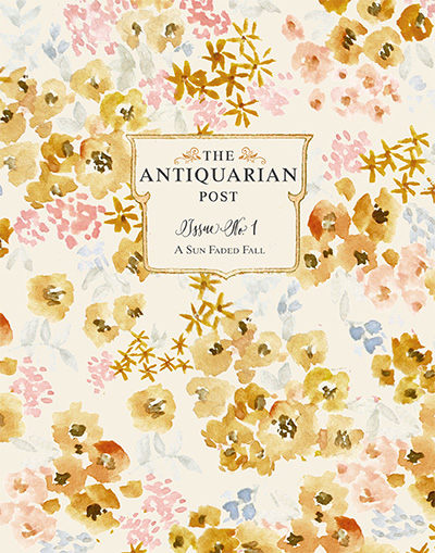美国《The Antiquarian Post》复古收集杂志PDF电子版【6期】