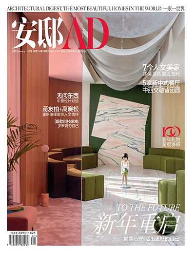 中国《安邸AD》家居设计杂志PDF电子版【2020年合集12期】