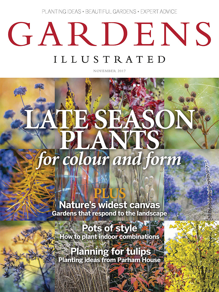 英国《Gardens Illustrated》园艺画刊杂志PDF电子版【2017年11月刊免费下载阅读】
