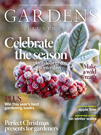 英国《Gardens Illustrated》园艺画刊杂志PDF电子版【2020年合集12期】