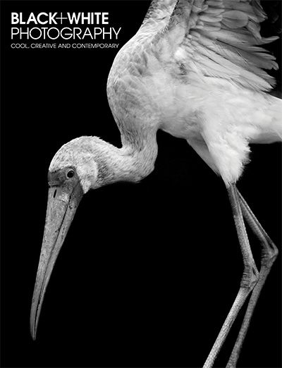 英国《Black+White Photography》黑白摄影杂志PDF电子版【2014年合集13期】