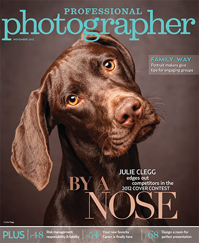 美国《Professional Photographer》摄影师杂志PDF电子版【2012年合集11期】