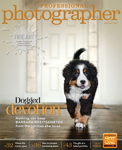 美国《Professional Photographer》摄影师杂志PDF电子版【2014年合集12期】