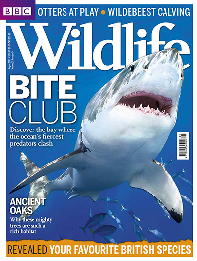 英国《BBC Wildlife》野生动物杂志PDF电子版【2013年合集13期】