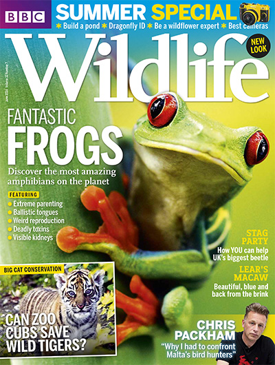 英国《BBC Wildlife》野生动物杂志PDF电子版【2014年合集13期】