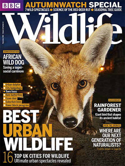 英国《BBC Wildlife》野生动物杂志PDF电子版【2014年合集13期】