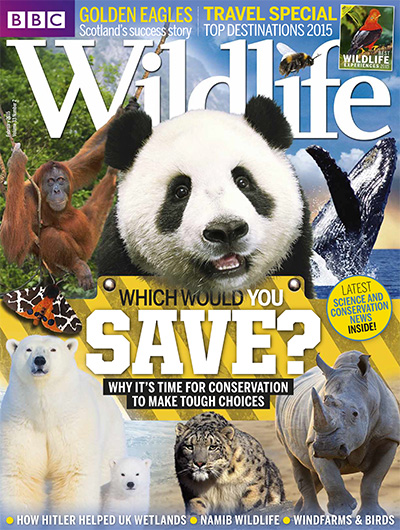 英国《BBC Wildlife》野生动物杂志PDF电子版【2015年合集13期】