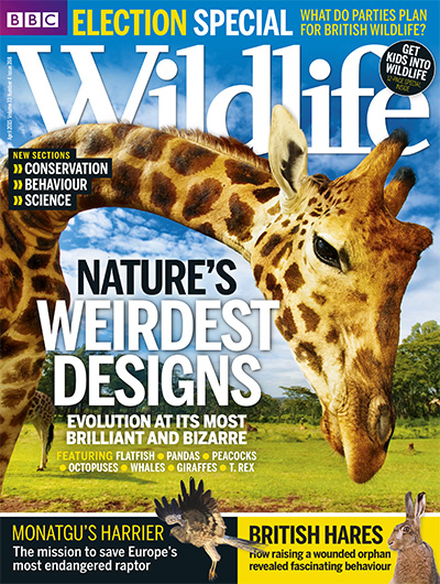 英国《BBC Wildlife》野生动物杂志PDF电子版【2015年合集13期】