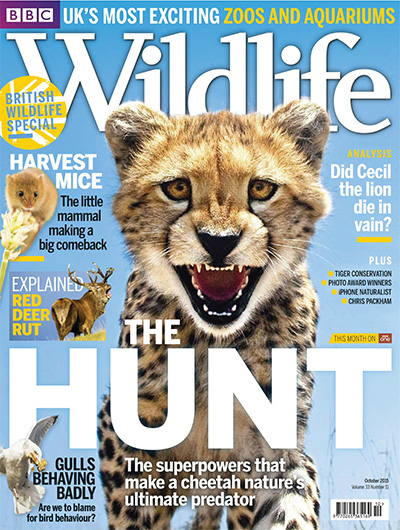 英国《BBC Wildlife》野生动物杂志PDF电子版【2015年合集13期】