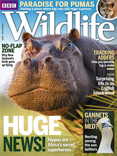 英国《BBC Wildlife》野生动物杂志PDF电子版【2016年合集13期】
