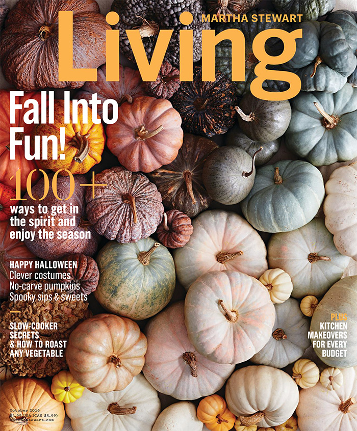 美国《Martha Stewart Living》家居生活杂志PDF电子版【2016年10月刊免费下载阅读】
