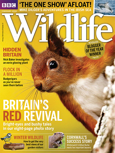 英国《BBC Wildlife》野生动物杂志PDF电子版【2018年合集12期】
