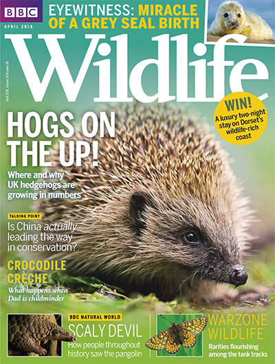 英国《BBC Wildlife》野生动物杂志PDF电子版【2018年合集12期】