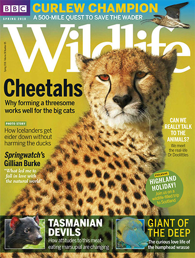 英国《BBC Wildlife》野生动物杂志PDF电子版【2018年合集12期】