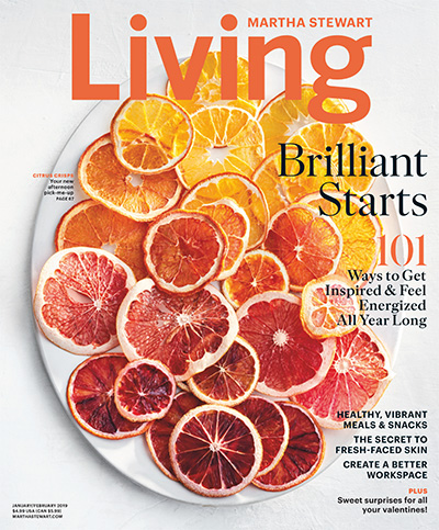 美国《Martha Stewart Living》家居生活杂志PDF电子版【2019年合集10期】