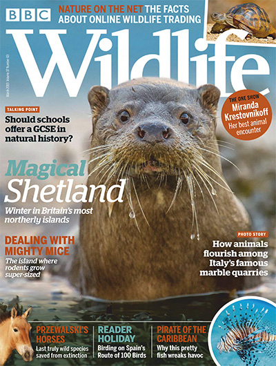 英国《BBC Wildlife》野生动物杂志PDF电子版【2019年合集12期】