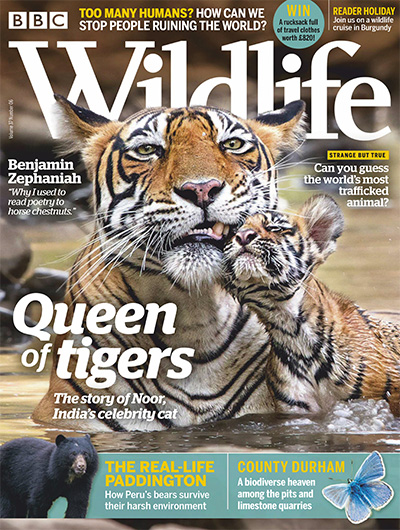 英国《BBC Wildlife》野生动物杂志PDF电子版【2019年合集12期】