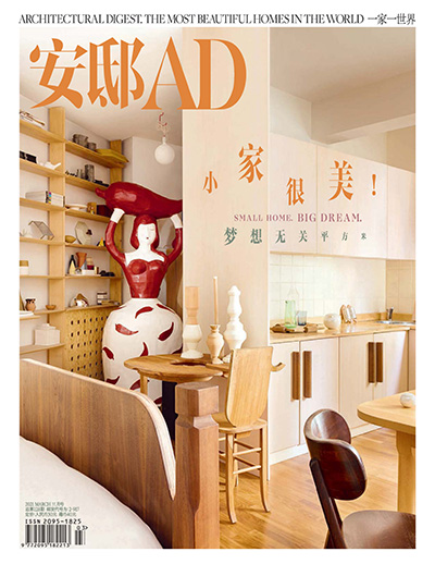 中国《安邸AD》家居设计杂志PDF电子版【2021年合集12期】