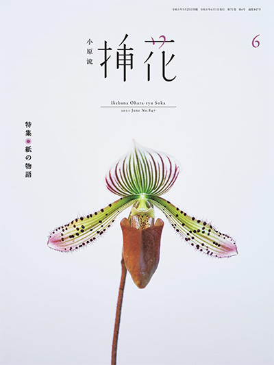 日本《小原流》插花杂志PDF电子版【2021年合集10期】 | 以画美学杂志