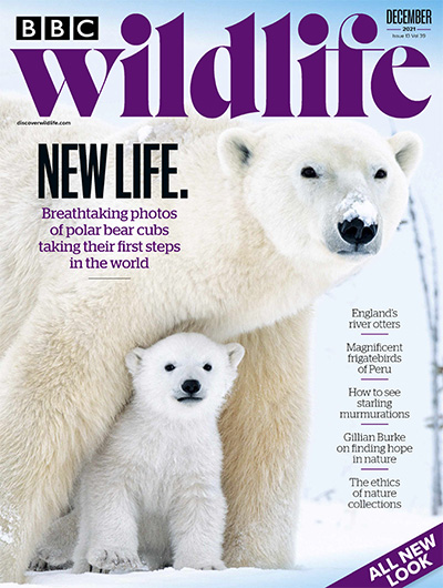 英国《BBC Wildlife》野生动物杂志PDF电子版【2021年合集13期】