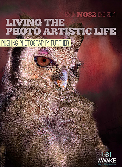 美国《Living the Photo Artistic Life》摄影杂志PDF电子版【2021年合集12期】