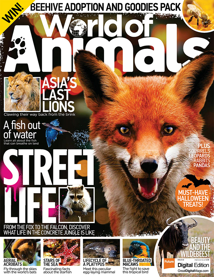 英国《World of Animals》动物世界杂志PDF电子版【2017年52号刊免费下载阅读】