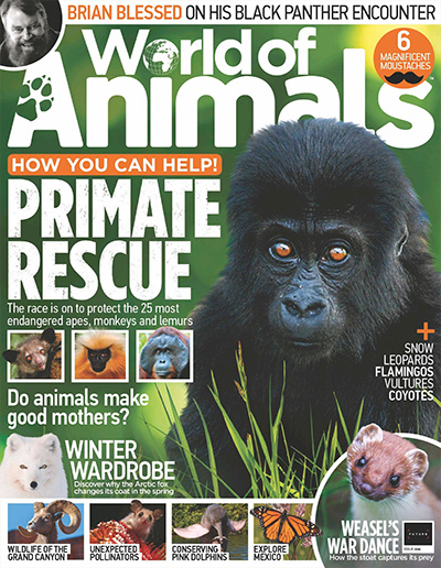 英国《World of Animals》动物世界杂志PDF电子版【2018年合集13期】