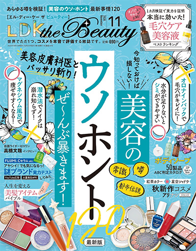 日本 Ldk The Beauty 美妆杂志pdf电子版 年合集12期 以画美学杂志