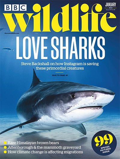 英国《BBC Wildlife》野生动物杂志PDF电子版【2022年合集13期】