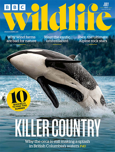 英国《BBC Wildlife》野生动物杂志PDF电子版【2022年合集13期】