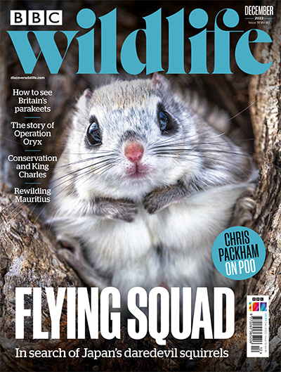 英国《BBC Wildlife》野生动物杂志PDF电子版【2022年合集13期】