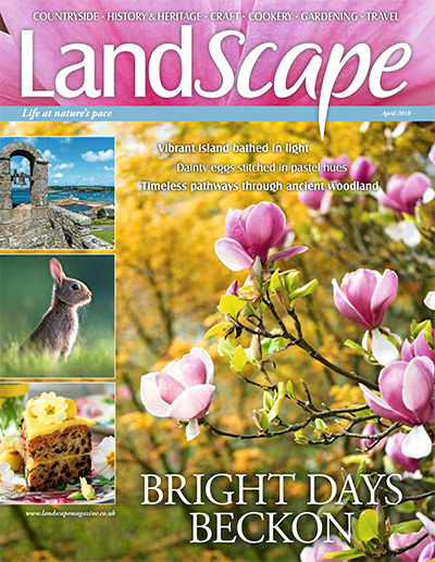 英国《Landscape》景观园艺杂志PDF电子版【2018年合集6期】