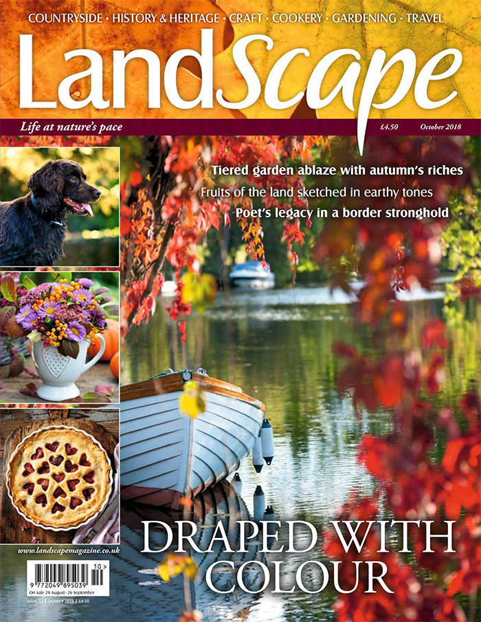 英国《Landscape》景观园艺杂志PDF电子版【2018年10月刊免费下载阅读】