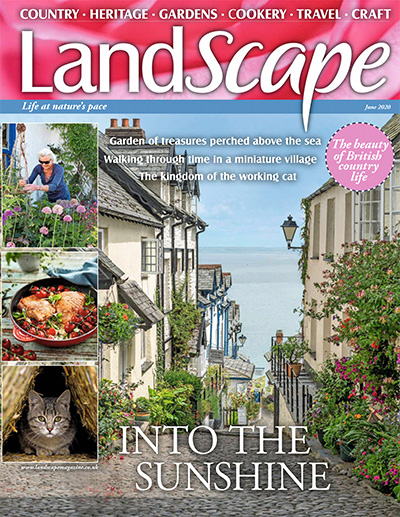 英国《Landscape》景观园艺杂志PDF电子版【2020年合集12期】
