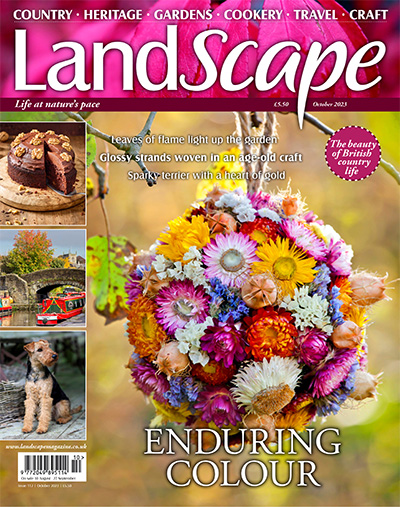 英国《Landscape》景观园艺杂志PDF电子版【2023年合集12期】