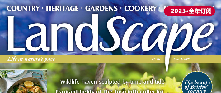 英国《Landscape》景观园艺杂志PDF电子版【2023年·全年订阅】