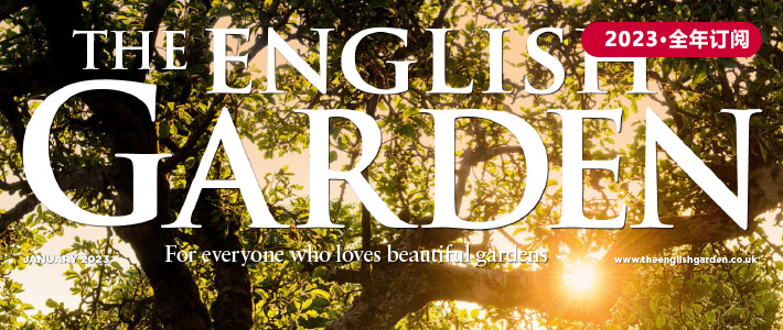 英国《The English Garden》园艺杂志PDF电子版【2023年·全年订阅】
