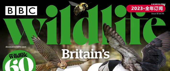 英国《BBC Wildlife》野生动物杂志PDF电子版【2023年·全年订阅】