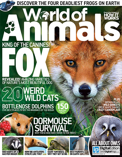 英国《World of Animals》动物世界杂志PDF电子版【2015年合集13期】