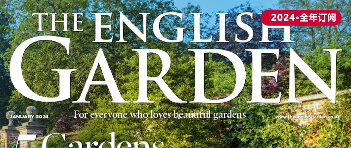 英国《The English Garden》园艺杂志PDF电子版【2024年·全年订阅】