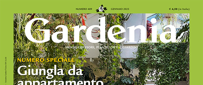 意大利《Gardenia》园艺花卉杂志PDF电子版【2025年·全年订阅】